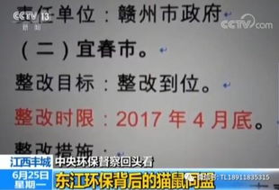 悬在企业头顶的“危险”警示灯 从一家上市公司的陨落看环保与合规的铁律