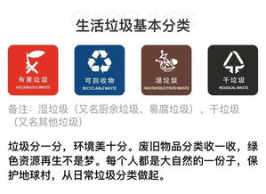 新政解读｜他来了，垃圾分类终究还是来杭州了，最高罚10万！危险废物经营需看这里